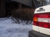100_5009.jpg