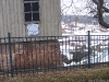 100_5070.jpg