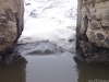 100_5075.jpg